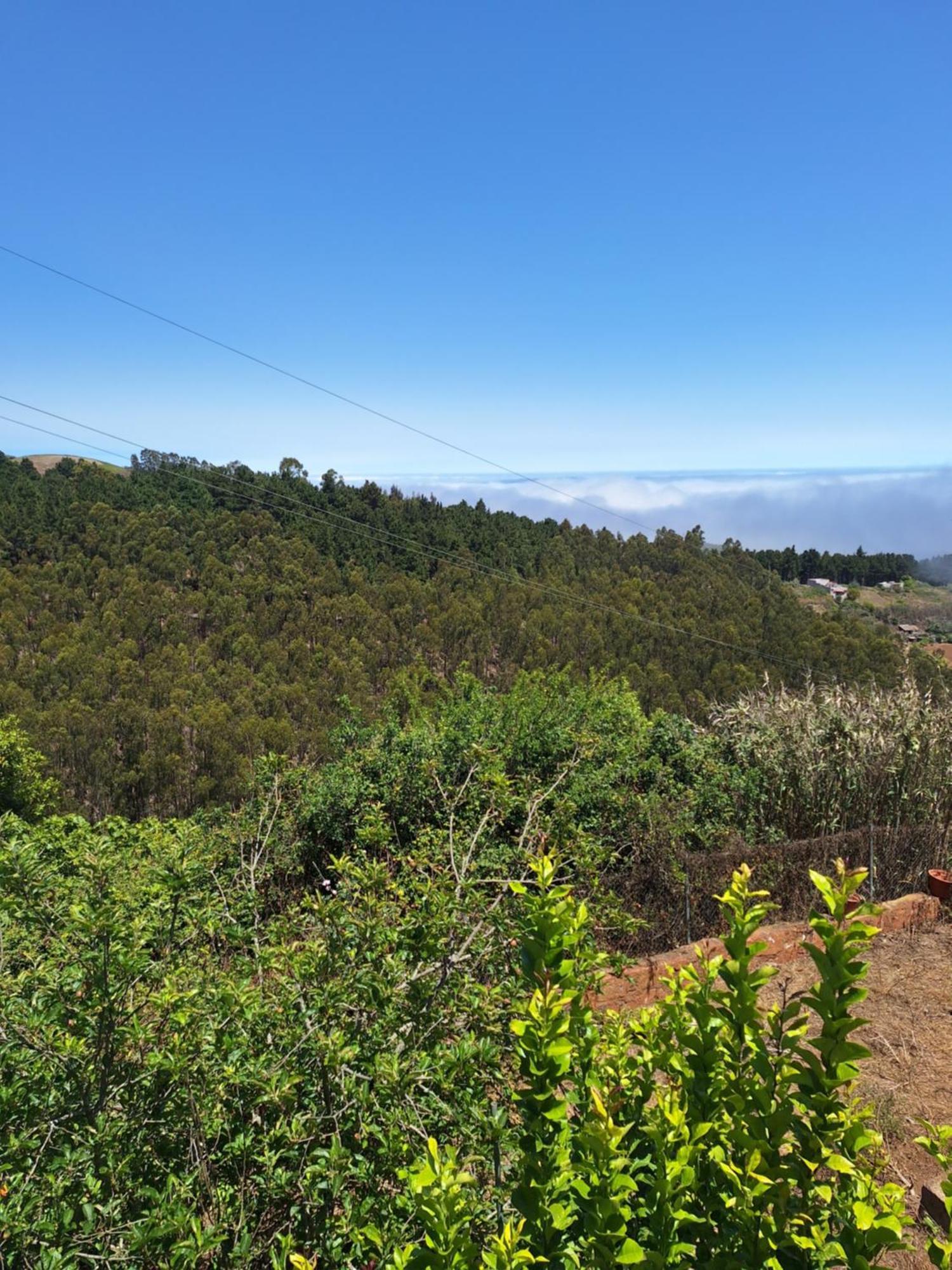 Finca Esther Las Palmas de Gran Canaria Exterior foto